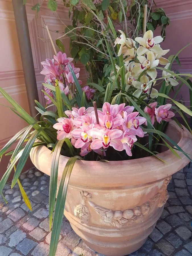 Holiday home Villa Caterina Imperia Italy