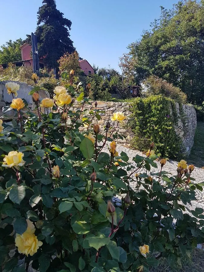 Villa Caterina Imperia